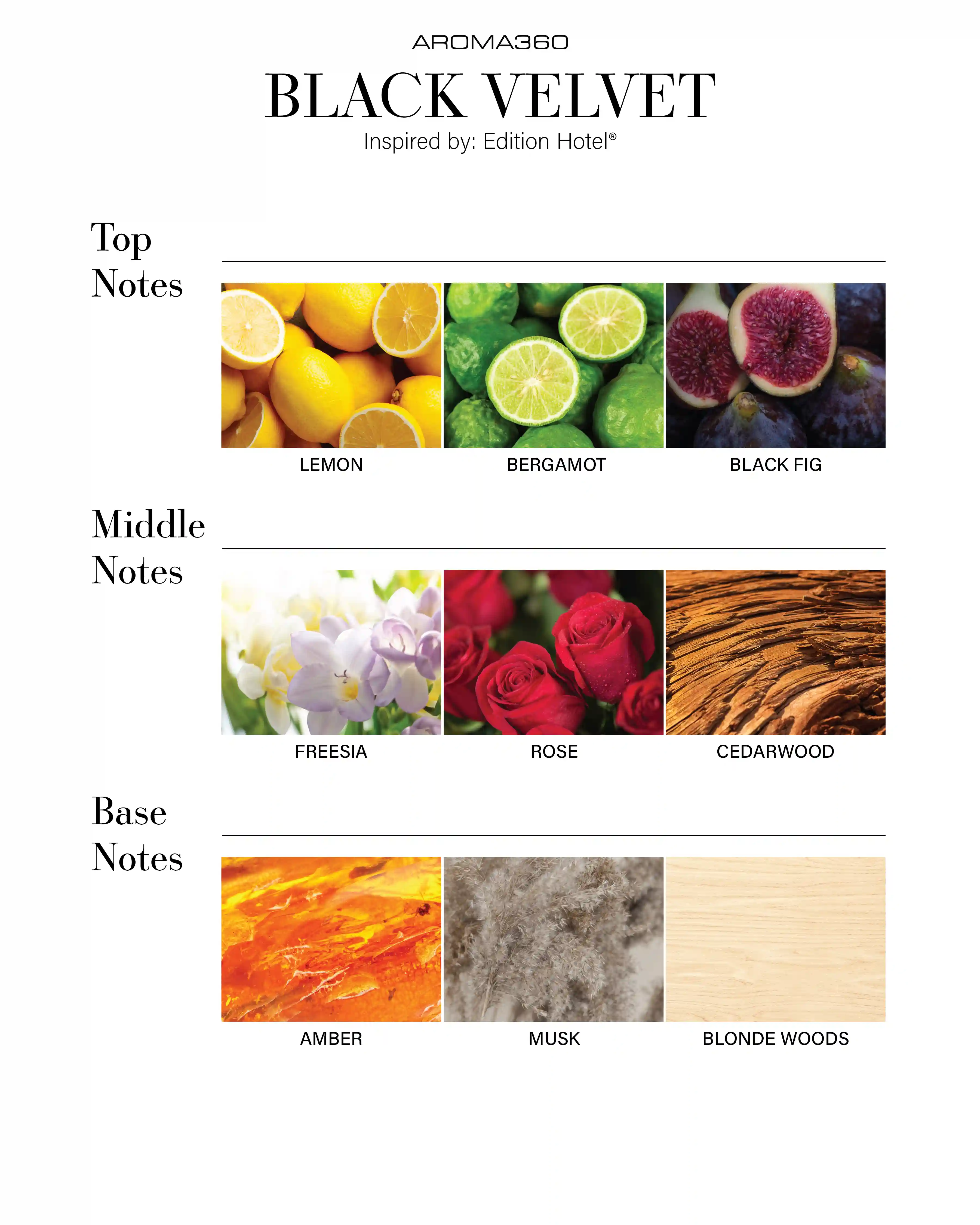 scentaroma360.us.com