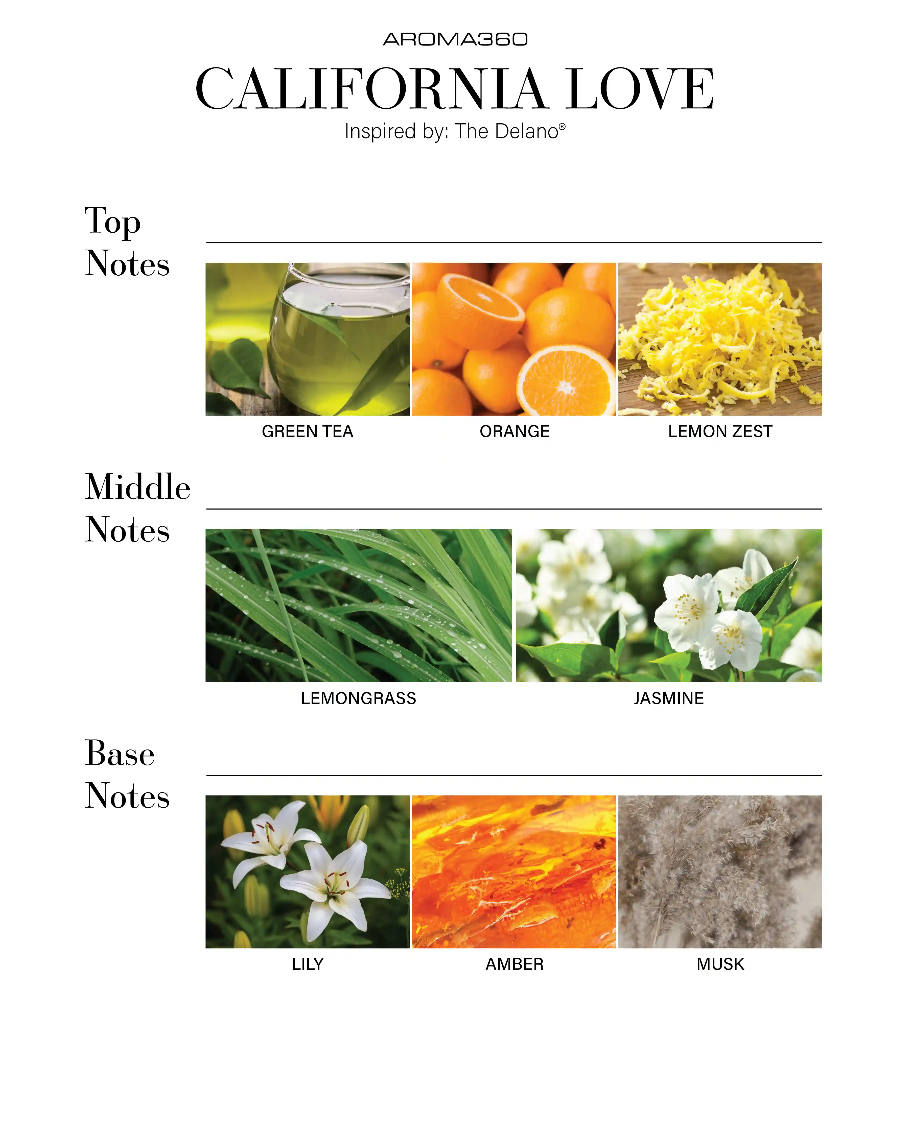 scentaroma360.us.com