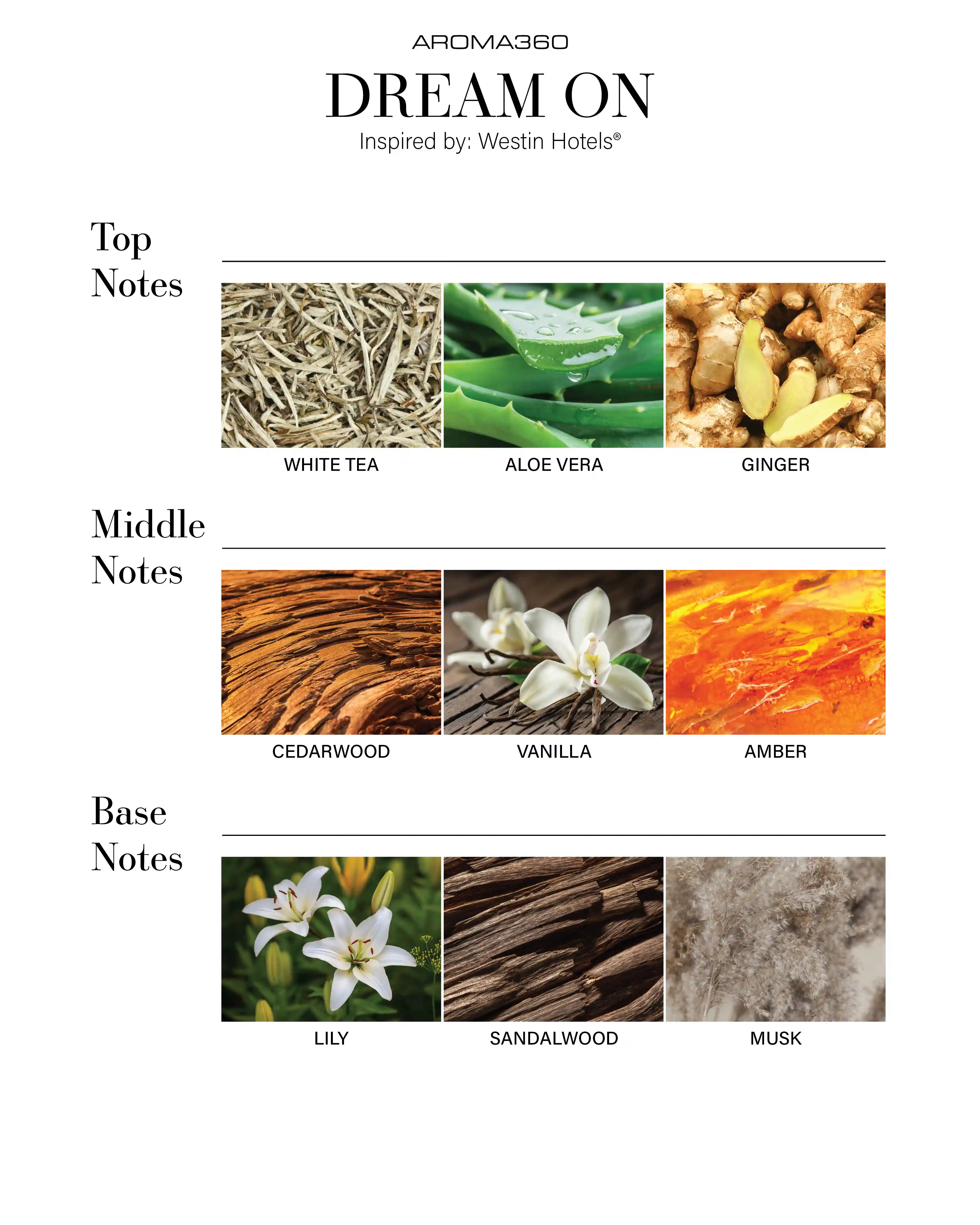 scentaroma360.us.com