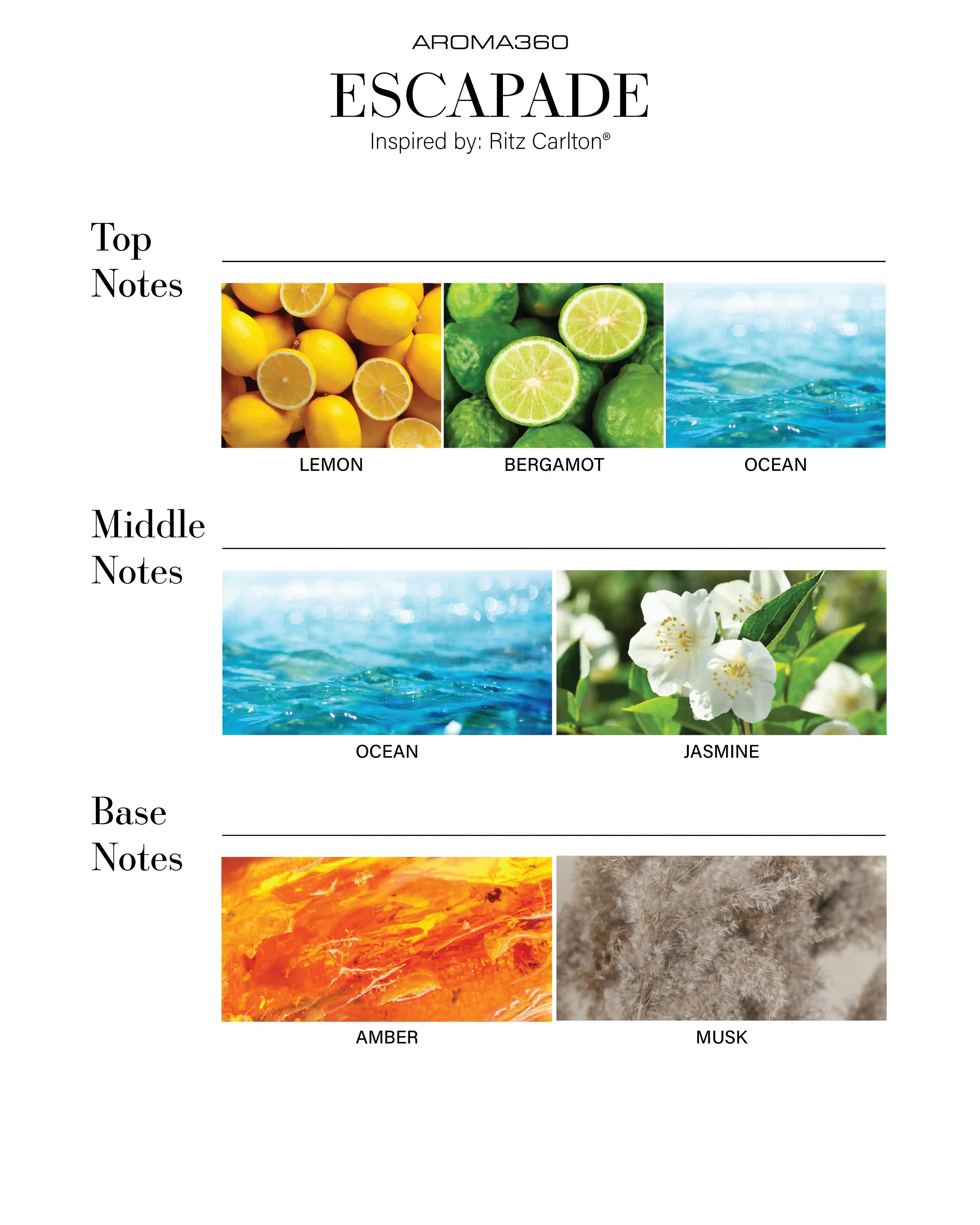 scentaroma360.us.com